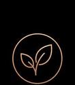 Premium Ingredients icon